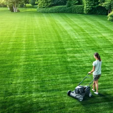 Секреты ухода за газоном: идеальный зеленый ковер для вашего дома